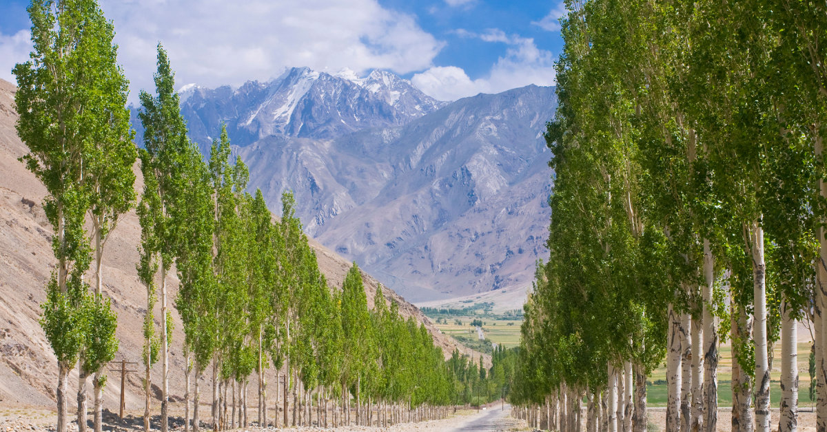 Afghanistan