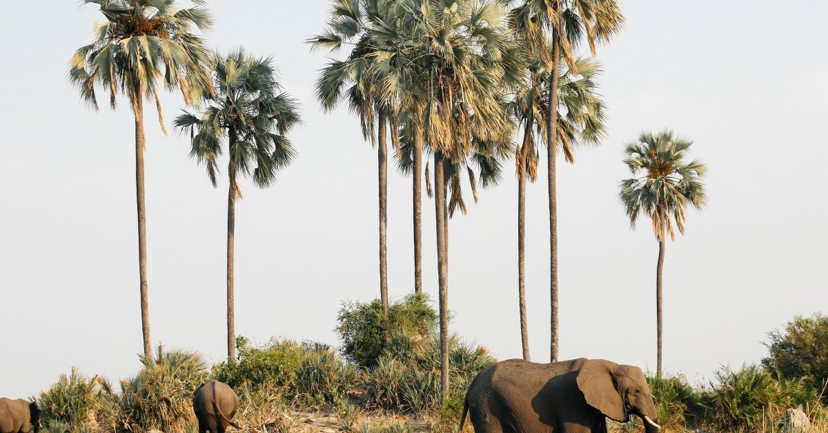 Botswana