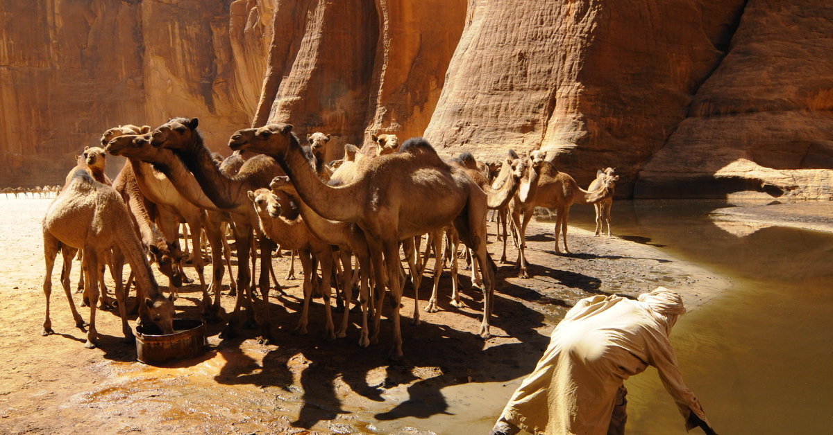 Tchad