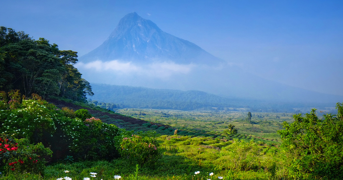 République démocratique du Congo