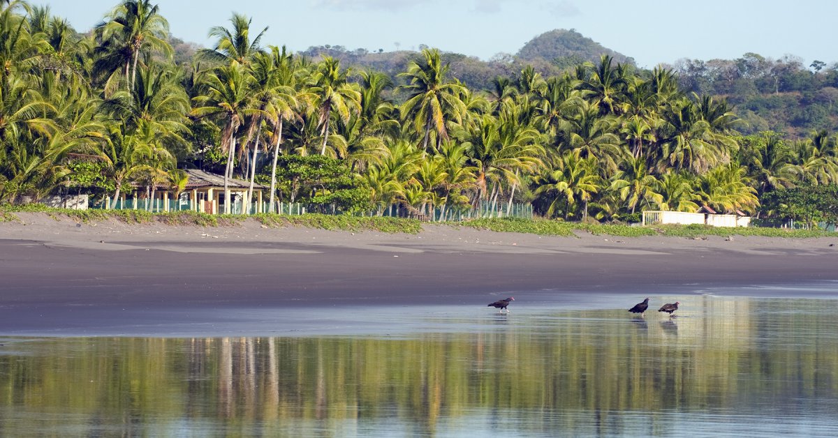 El salvador